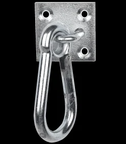 Karabinerhaken auf Platte