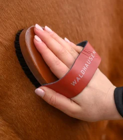 Kardätsche HardWood, Naturborsten