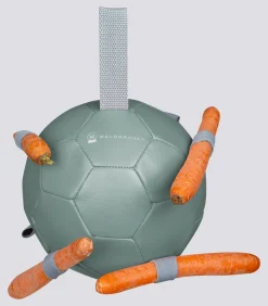 Karottenball