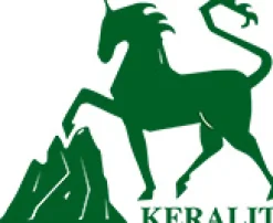 KERALIT Keralysin-Salbe