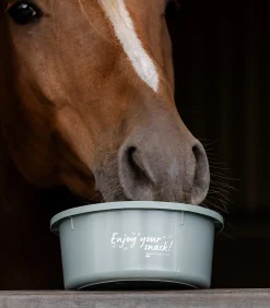 kleine Futterschale mit Deckel