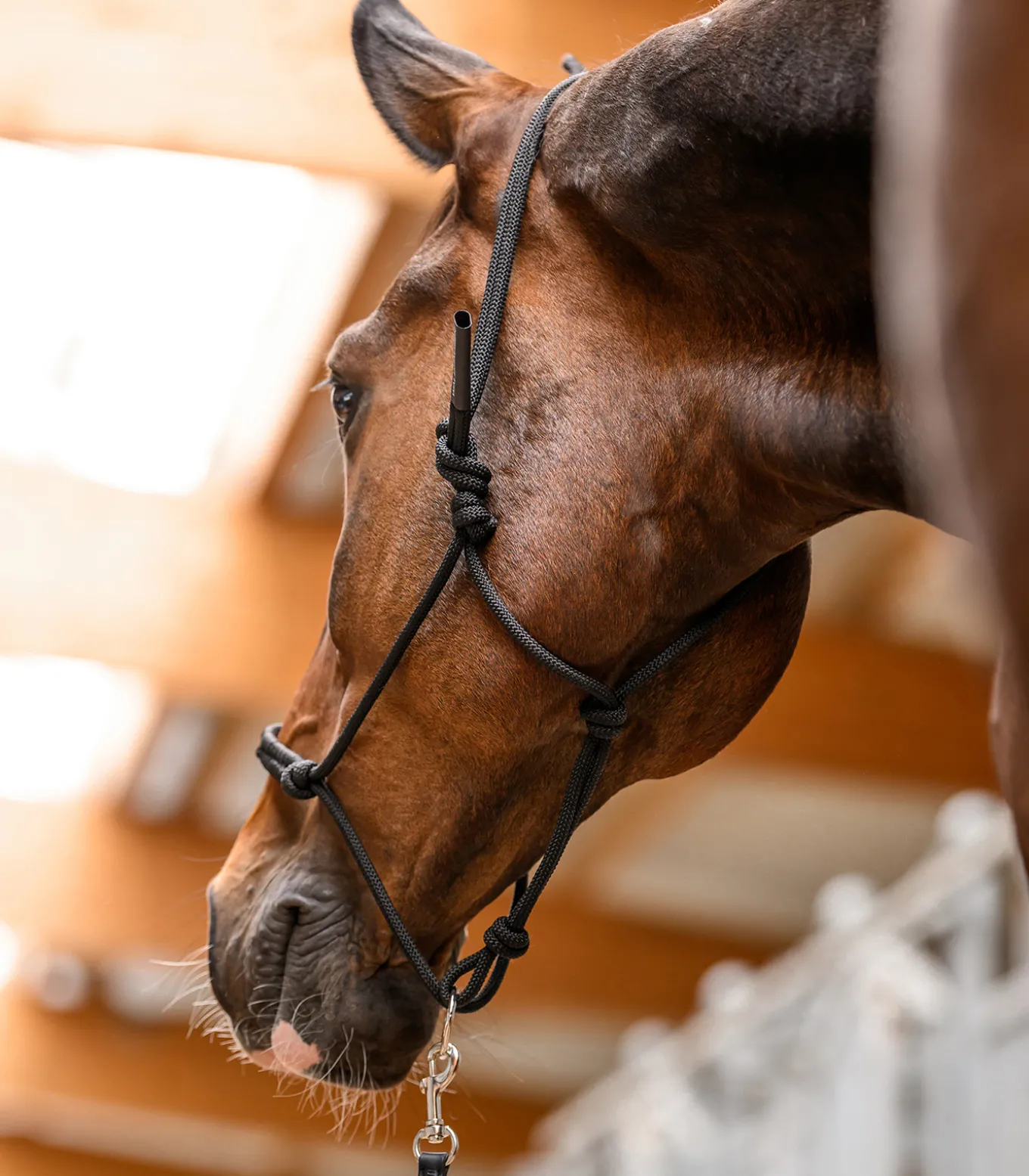 Knotenhalfter mit beweglichem Ring