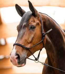 Knotenhalfter mit beweglichem Ring