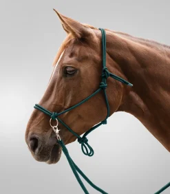 Knotenhalfter mit Zügel