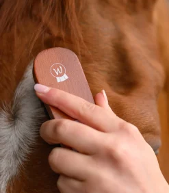 Kopfbürste HardWood