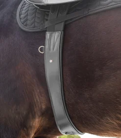 Ledersattelgurt - mit Elastik