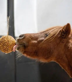 Likit Müslikugel 1,6 kg