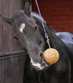 Likit Müslikugel 1,6 kg