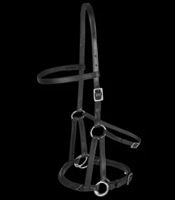 Linda Tellington Jones Lindel