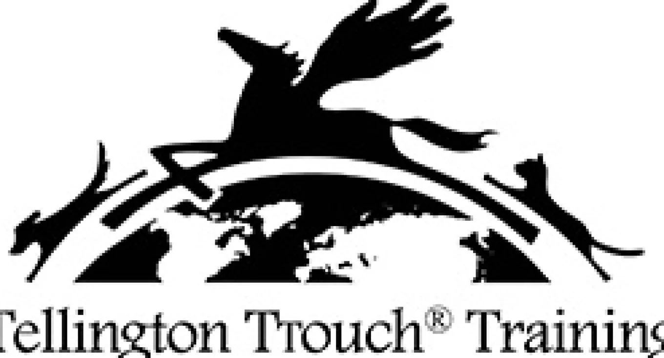 Linda Tellington-Jones Balancezügel