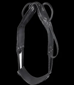 Longier- und Voltigiergurt, Leder