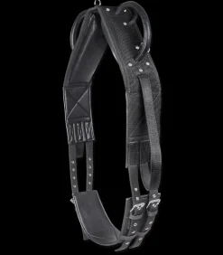 Longier- und Voltigiergurt, synthetik