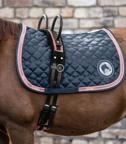 Longiergurt mit zwei Handgriffen