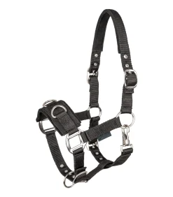 Longierhalfter Economic