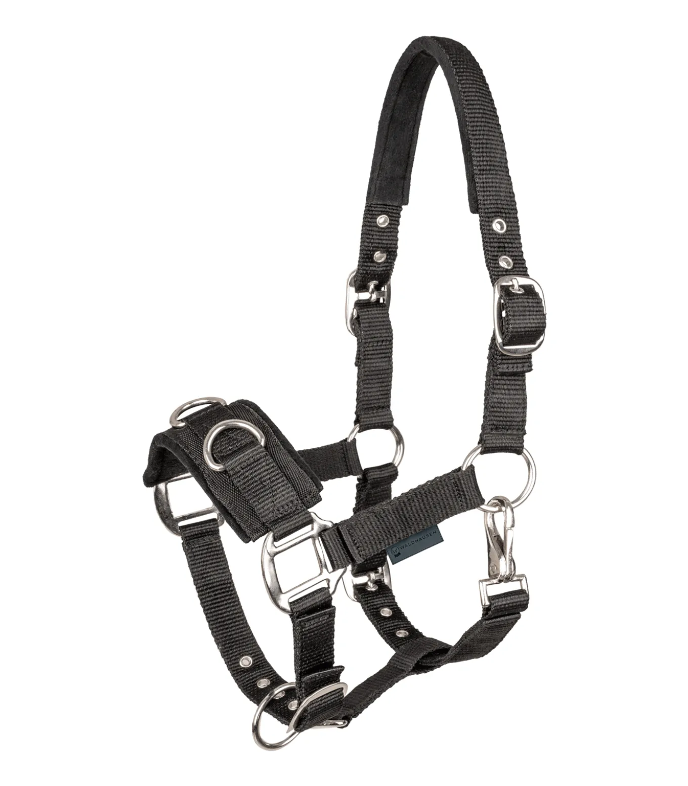 Longierhalfter Economic