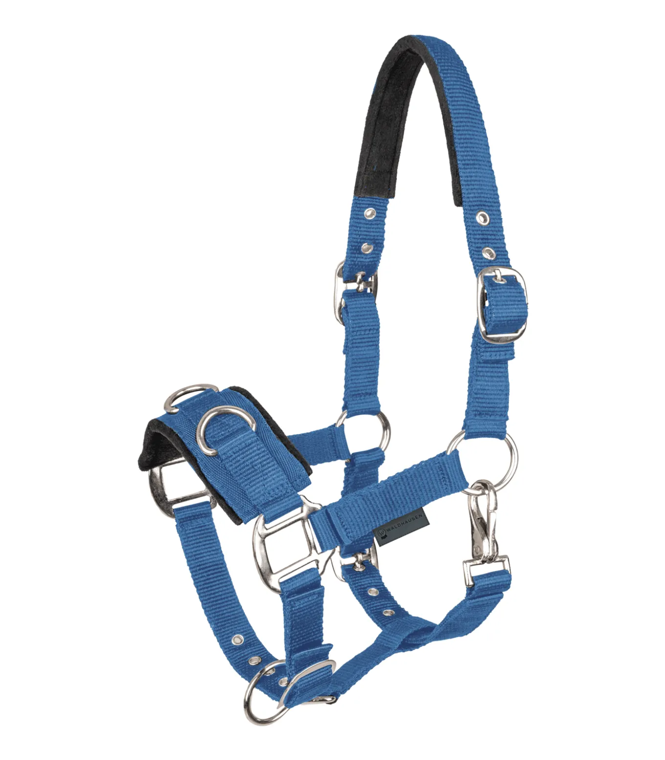 Longierhalfter Economic