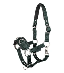 Longierhalfter Economic