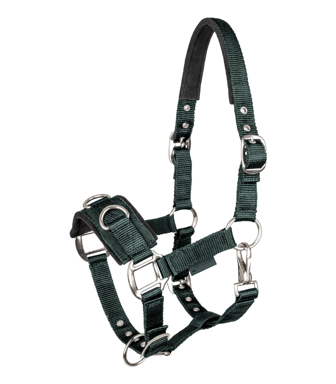 Longierhalfter Economic