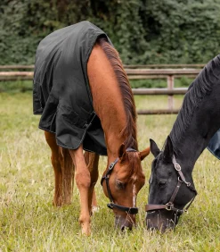 NORDIC Outdoordecke, Fleece