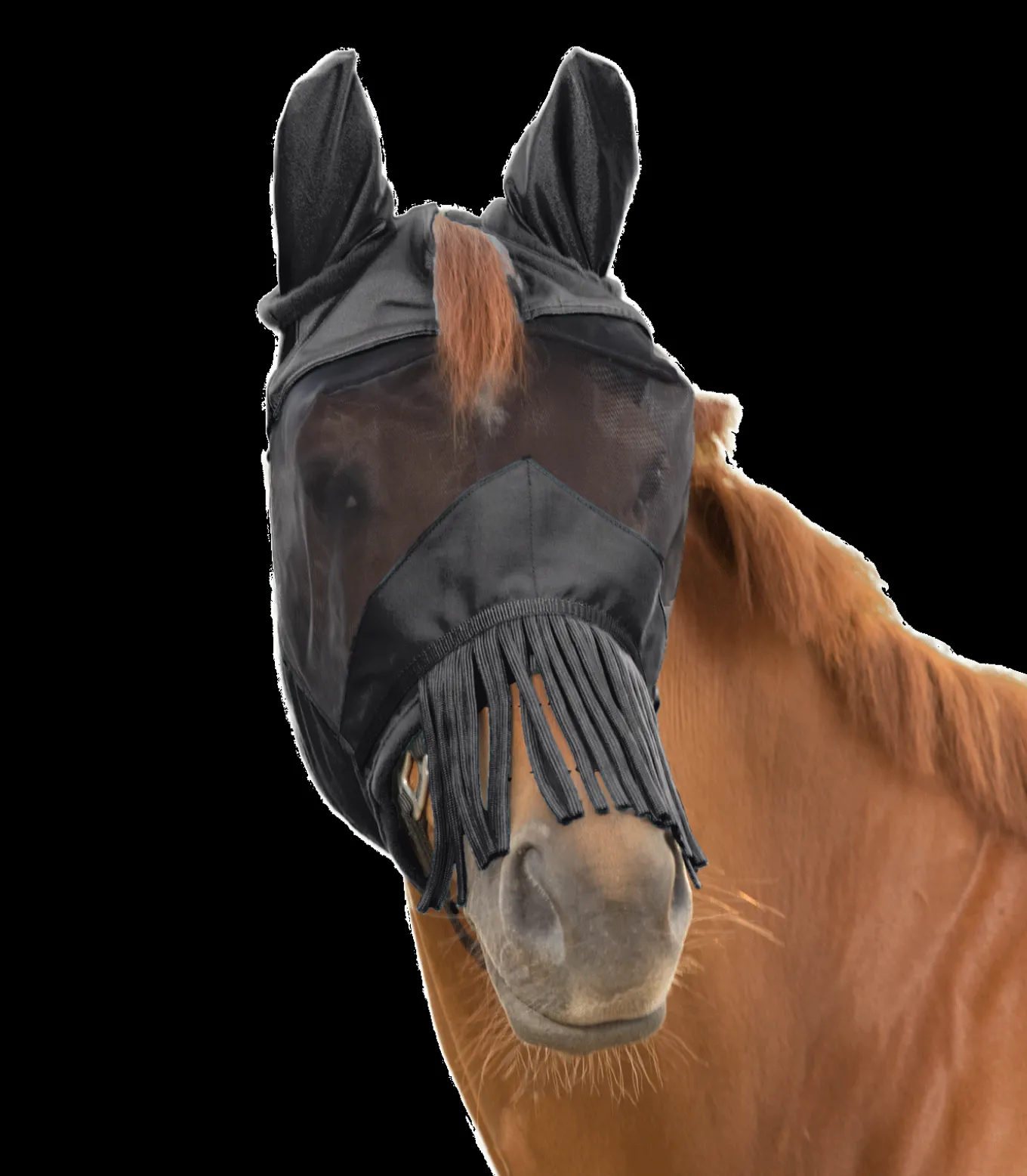 PREMIUM Fliegenmaske 3 in 1