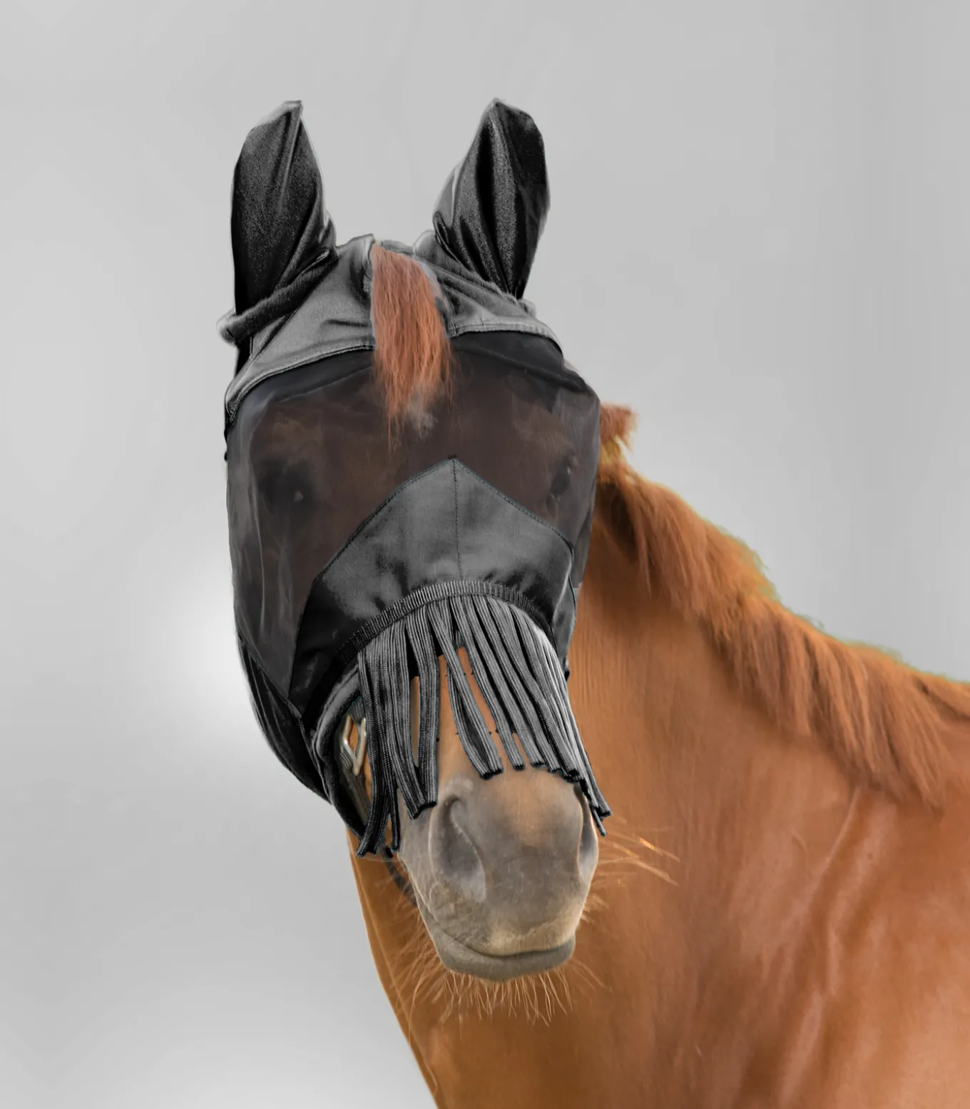 PREMIUM Fliegenmaske mit Ohrenschutz und Nasenfransen