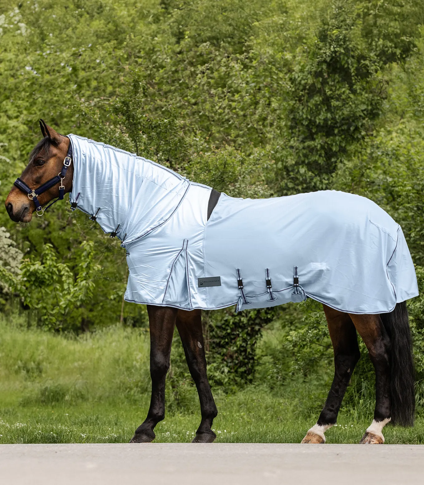 PROTECT Ekzemer-Fliegendecke