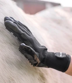 Putz- und Pflegehandschuh