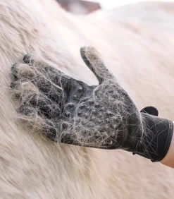 Putz- und Pflegehandschuh