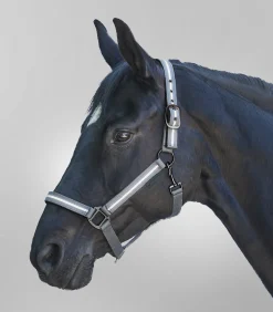 REFLEX  Halfter Stripe