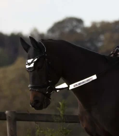 REFLEX  Trensenzaum-Set