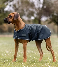 Regen-Hundedecke