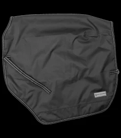 Regen-Nierendecke Salzburg