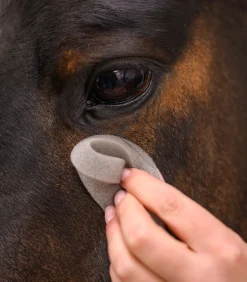 Runder Pflegeschwamm soft