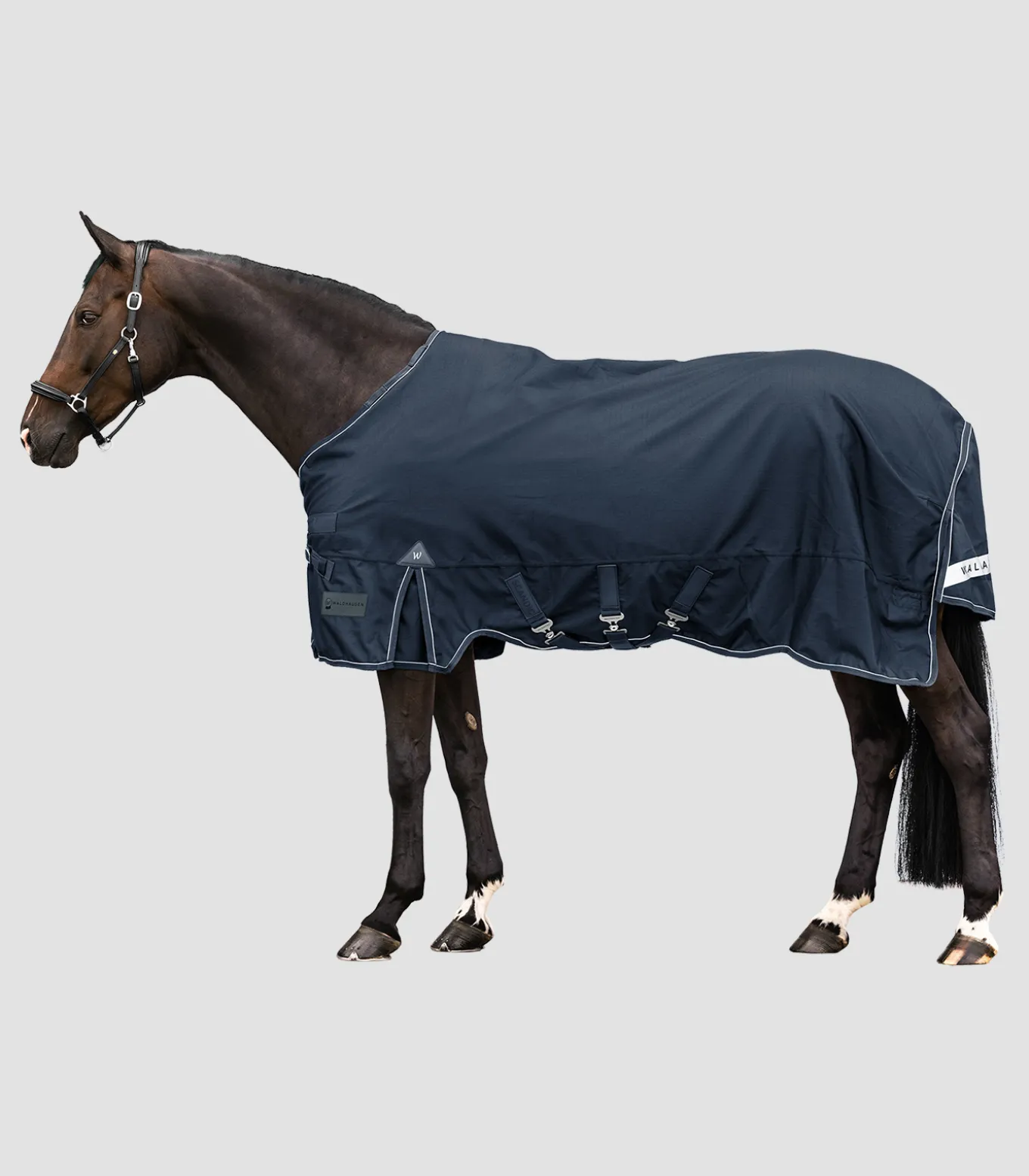 SCANDIC Outdoordecke, 200 g