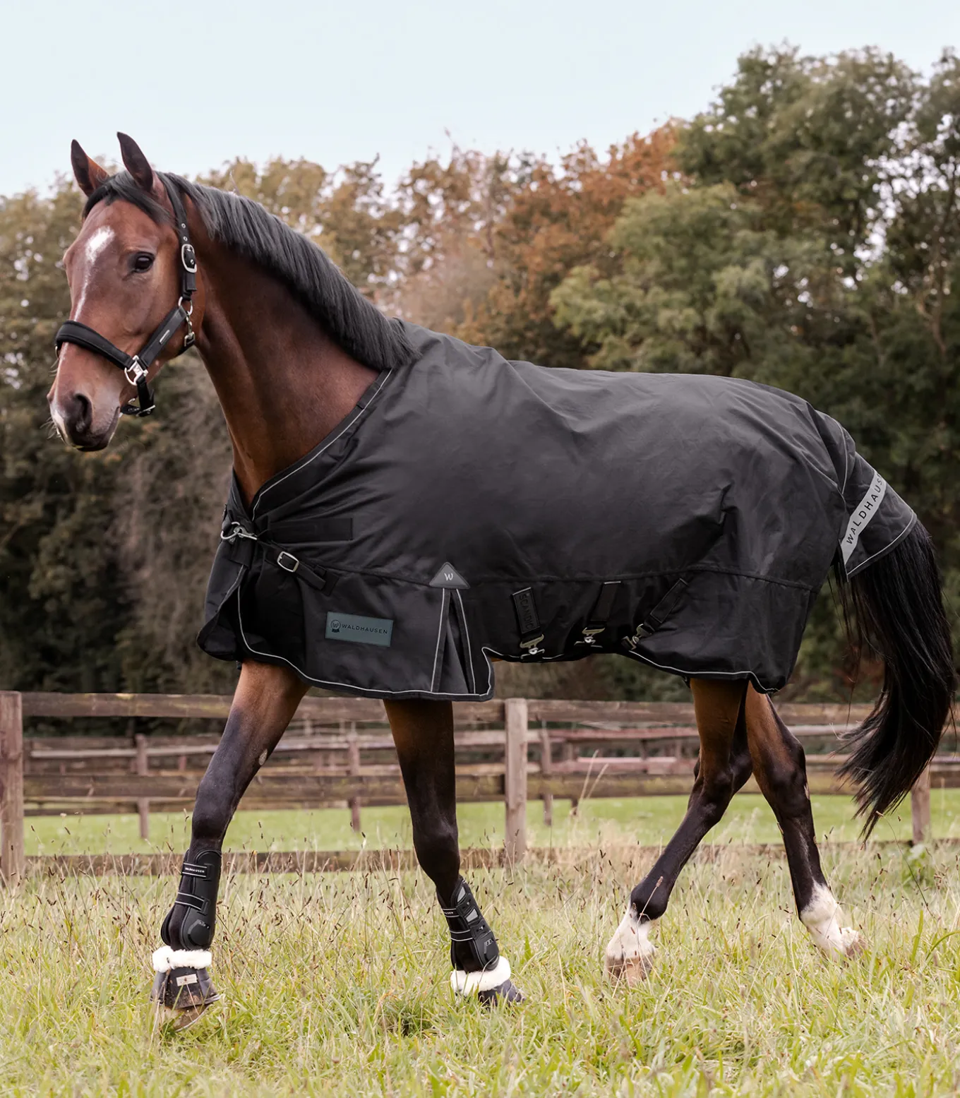 SCANDIC Outdoordecke, 200 g