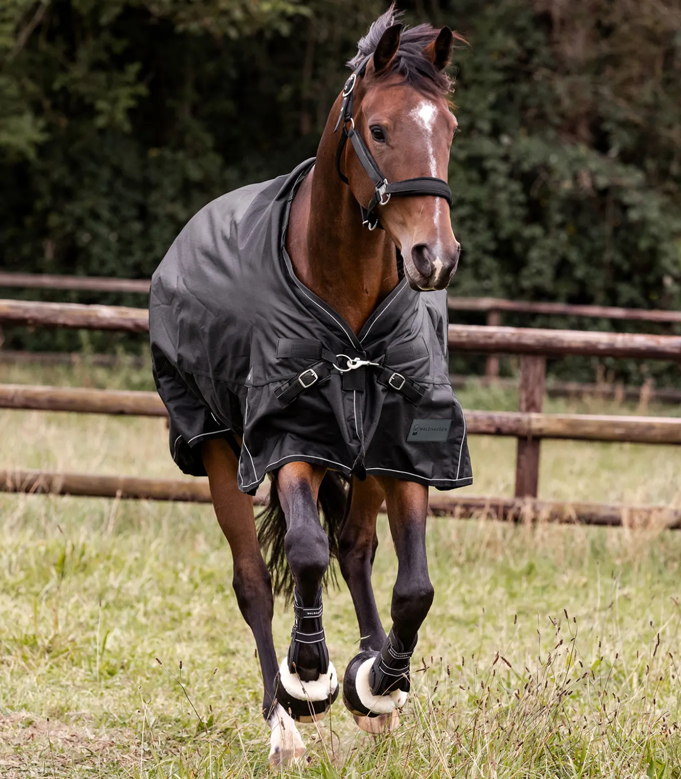 SCANDIC Outdoordecke, 200 g