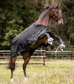 SCANDIC Outdoordecke, 300 g