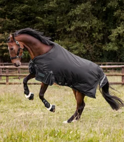 SCANDIC Outdoordecke, Light