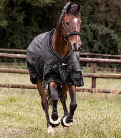 SCANDIC Outdoordecke, Light