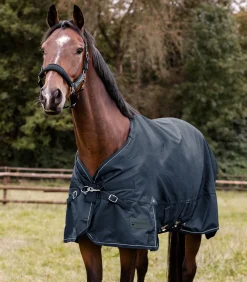 SCANDIC Outdoordecke, Light