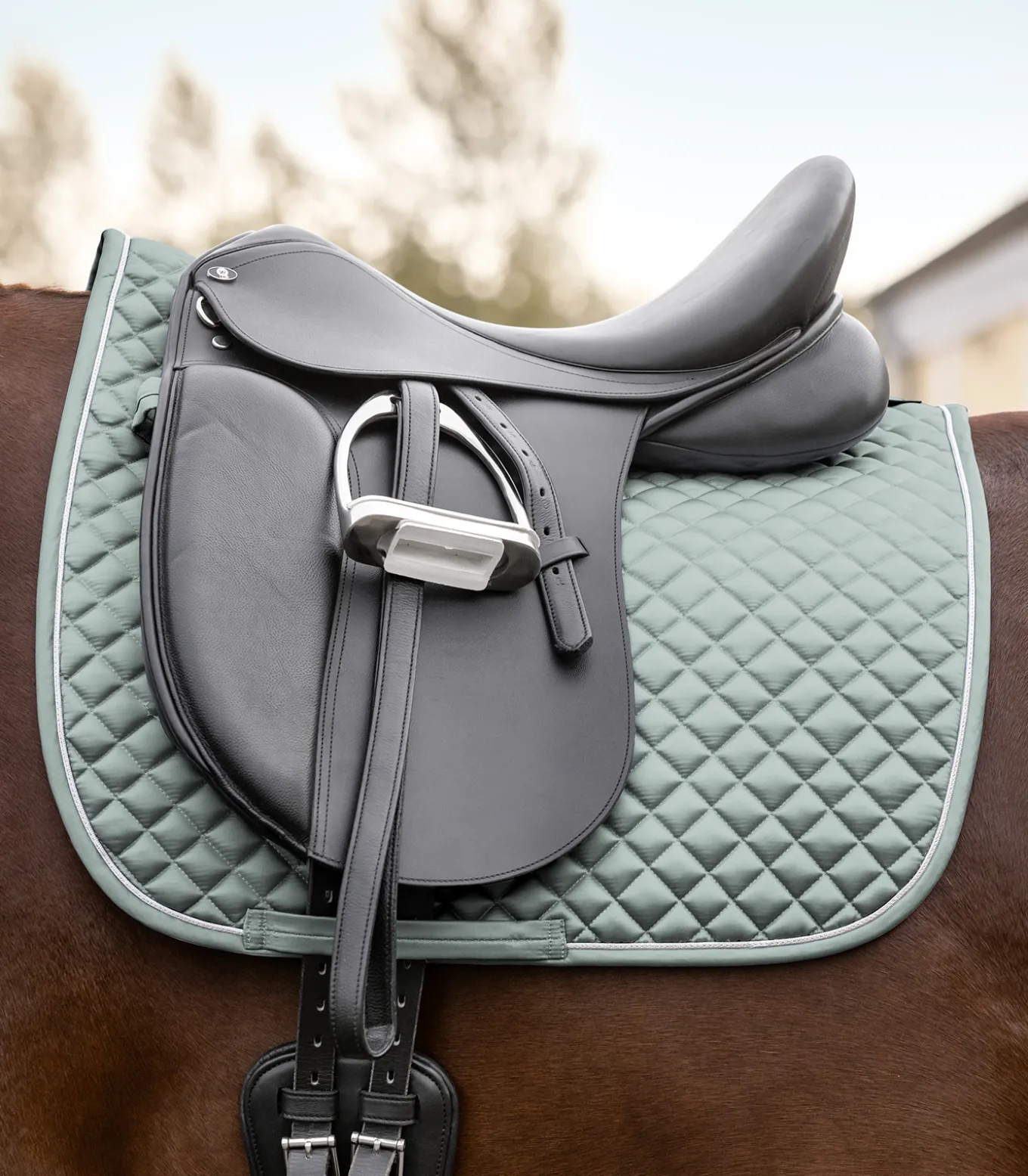 Schabracke Felix Glam