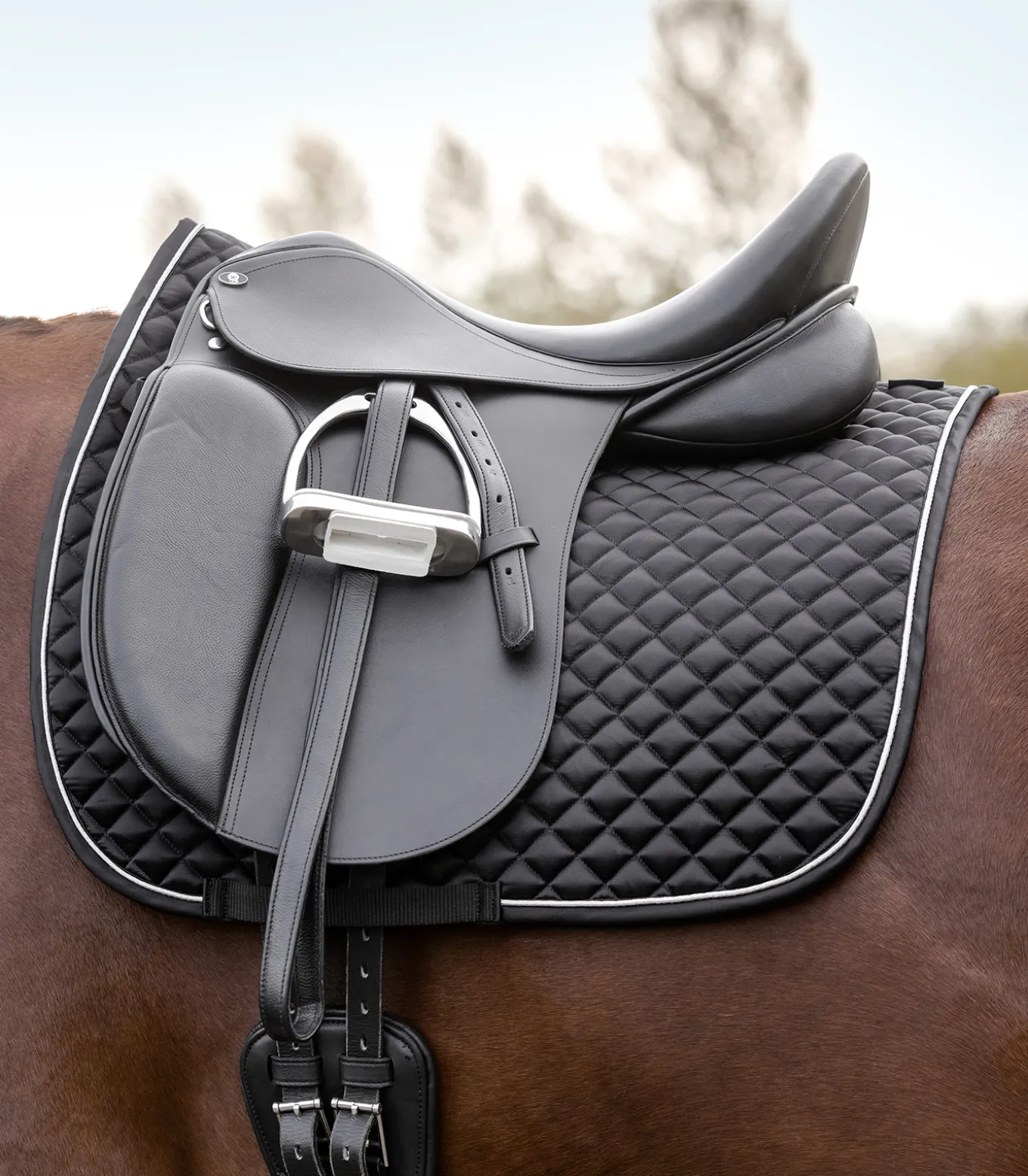 Schabracke Felix Glam