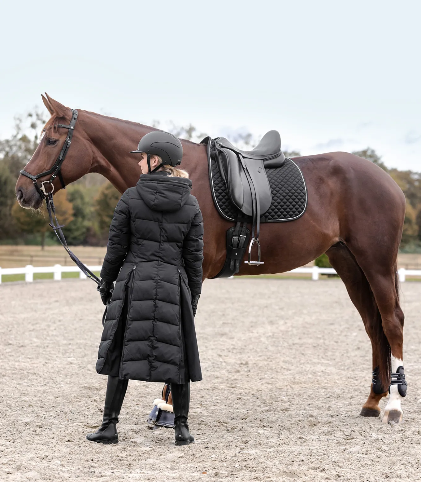 Schabracke Felix Glam