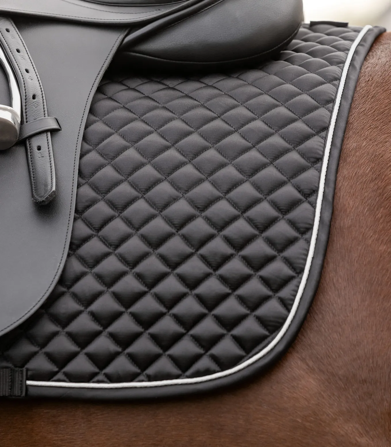 Schabracke Felix Glam