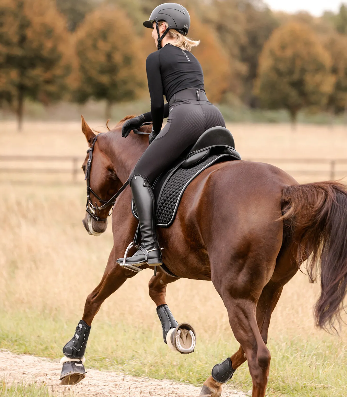 Schabracke Felix Glam