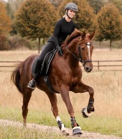 Schabracke Felix Glam