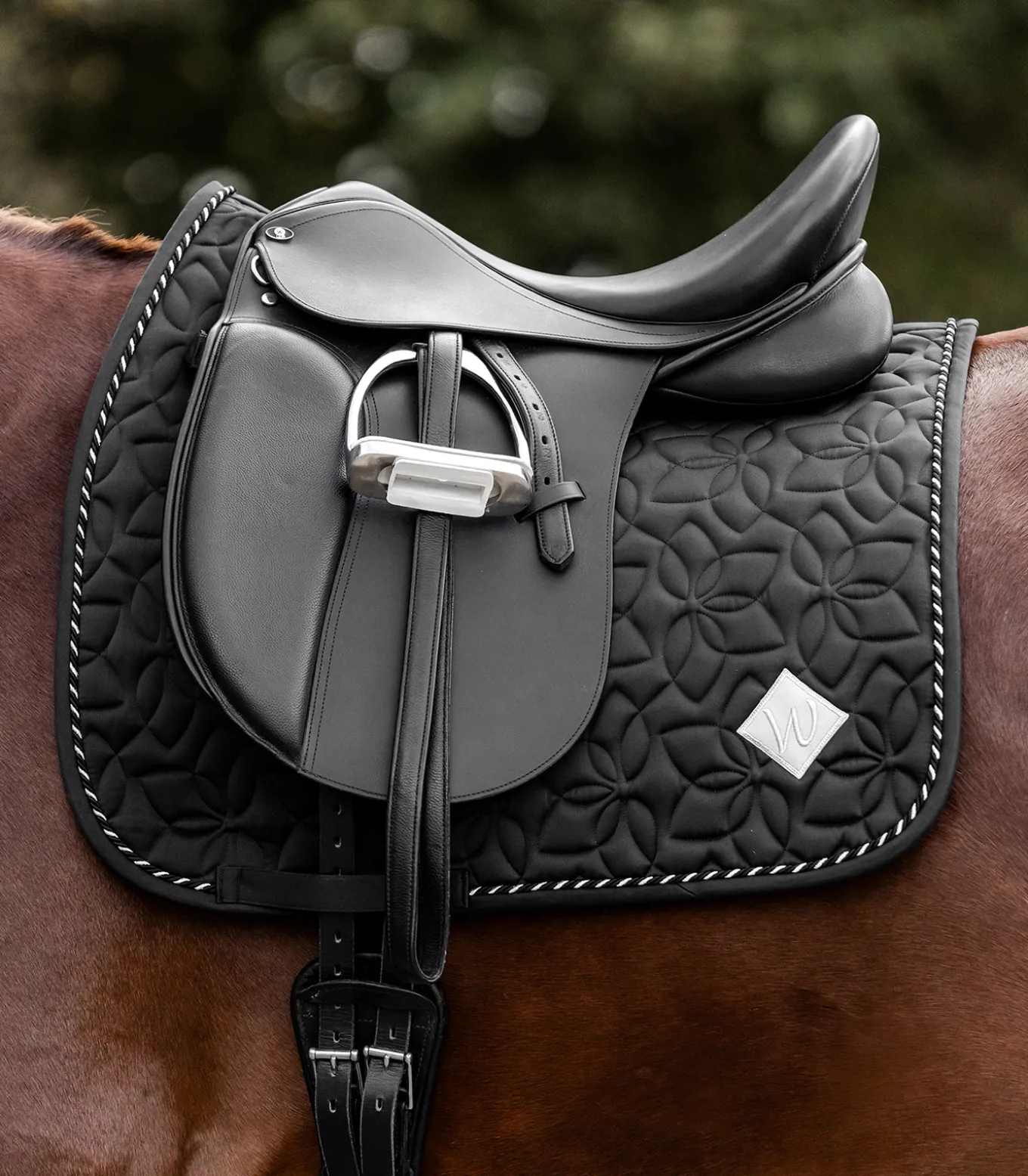 Schabracke Marseille