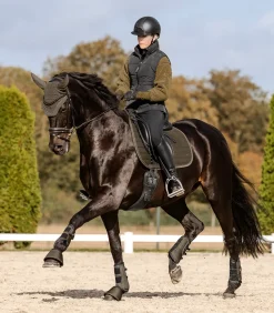 Schabracke St. Gallen