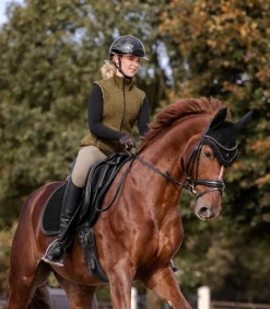 Schabracke St. Gallen