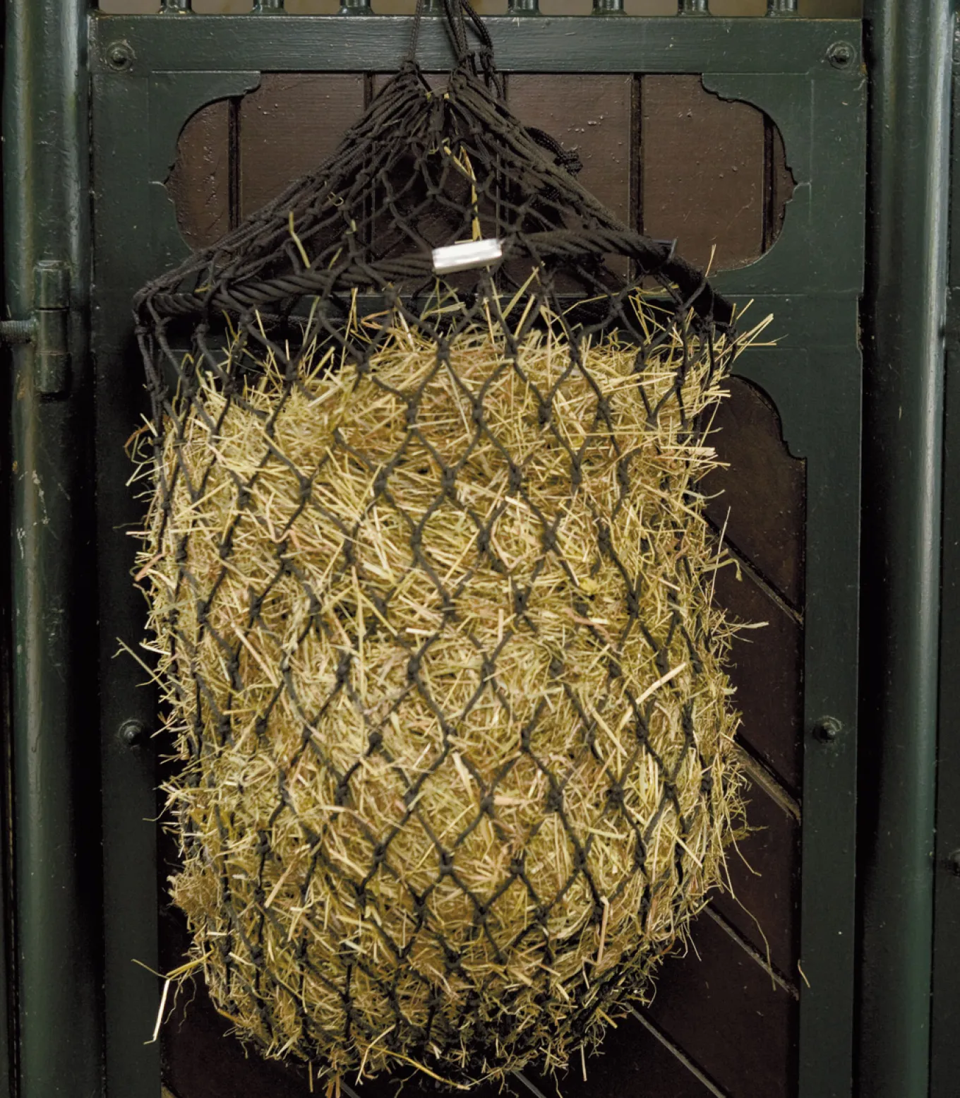 Simple Fill Heunetz, XL